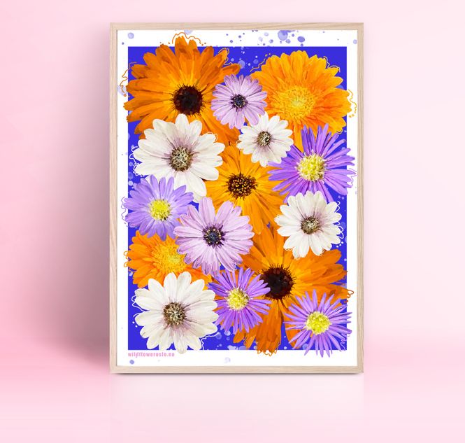 Hovedbilde PLAKAT 30x40 cm #0021