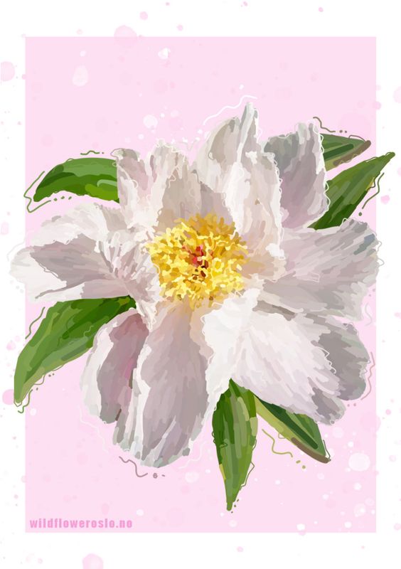 PLAKAT 30x40 cm #0037