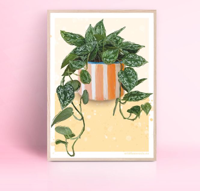 Hovedbilde PLAKAT #0115 