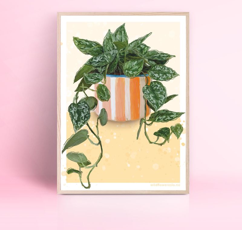 PLAKAT 30x40 cm #0115 