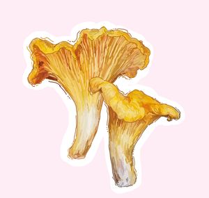 Hovedbilde Klistremerke #0133